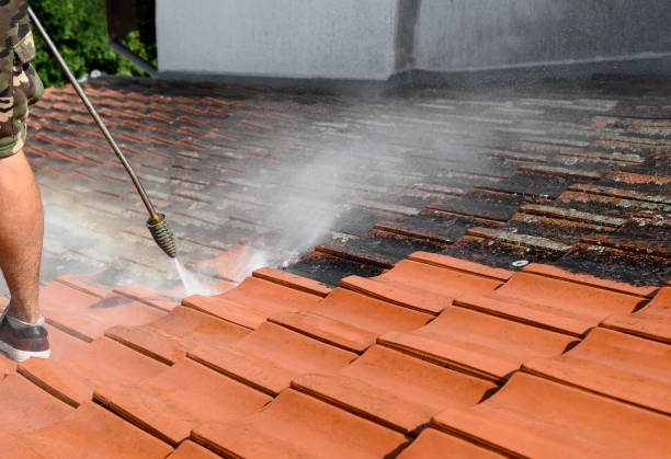 Best Local Pressure Washing Services  in Nyssa, OR
